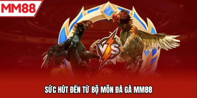 Sức hút đến từ bộ môn đá gà MM88